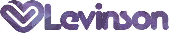 Levinson Performance & Mfg.
