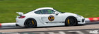 302 Rear Adjustable Toe Steer Kit (GT4 981 + 718)