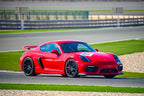302 Rear Adjustable Toe Steer Kit (GT4 981 + 718)