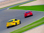 TS-1-GT4 Stage 1 Suspension Kit (GT4 981 / 718 GT4-RS / Spyder )
